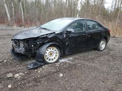 Salvage cars for sale at Bowmanville, ON auction: 2018 Toyota Corolla L