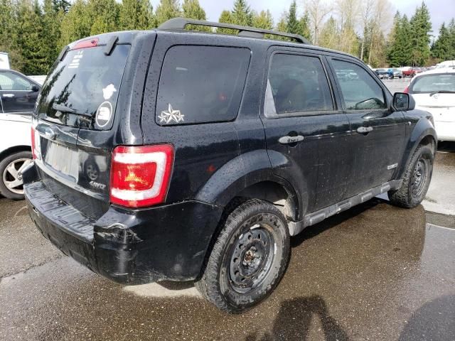 2008 Ford Escape XLT