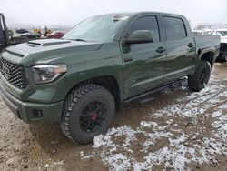 Toyota salvage cars for sale: 2020 Toyota Tundra Crewmax SR5