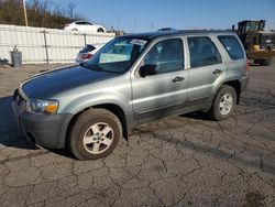 Salvage cars for sale at West Mifflin, PA auction: 2007 Ford Escape XLS