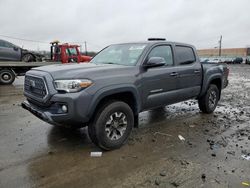 Salvage cars for sale at Windsor, NJ auction: 2019 Toyota Tacoma Double Cab