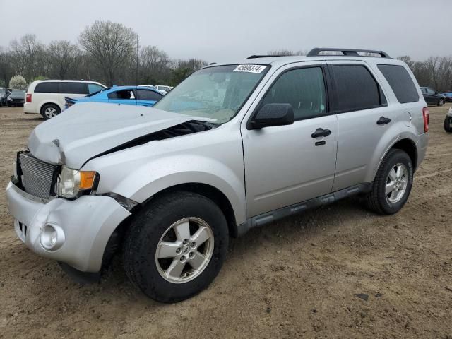 2010 Ford Escape XLT