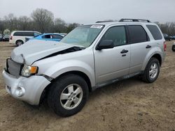 Ford Escape XLT salvage cars for sale: 2010 Ford Escape XLT