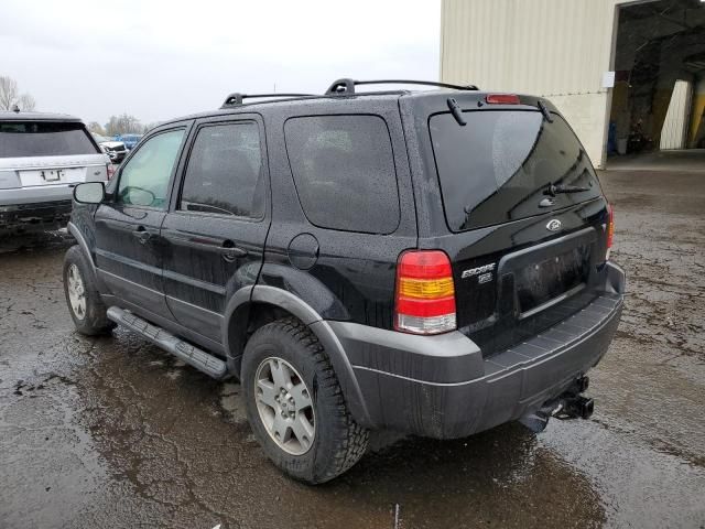 2005 Ford Escape XLT