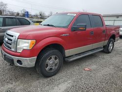 Salvage cars for sale from Copart Walton, KY: 2009 Ford F150 Supercrew