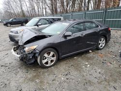 Salvage cars for sale at Candia, NH auction: 2009 Acura TSX