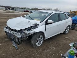 Ford Focus salvage cars for sale: 2014 Ford Focus SE