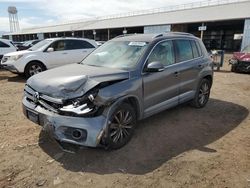 Salvage cars for sale from Copart Phoenix, AZ: 2015 Volkswagen Tiguan S