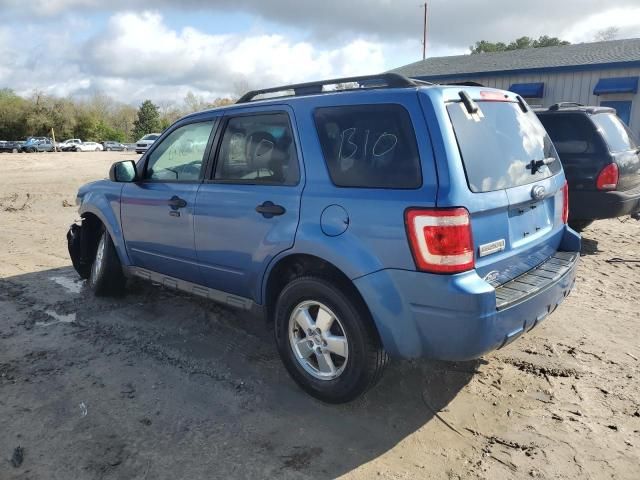 2009 Ford Escape XLT