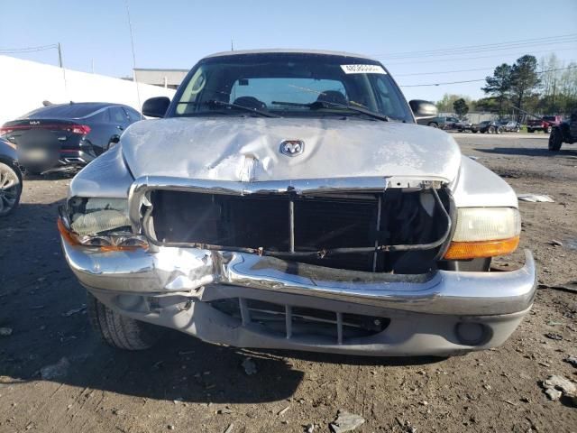 2001 Dodge Dakota Quattro