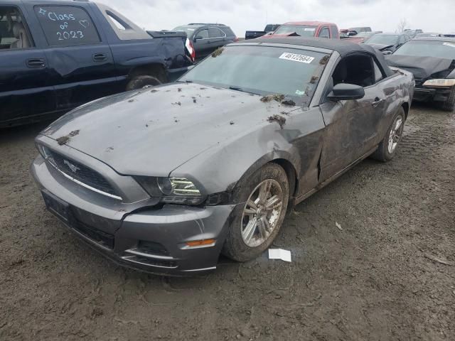 2014 Ford Mustang