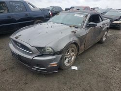 Salvage cars for sale from Copart Earlington, KY: 2014 Ford Mustang