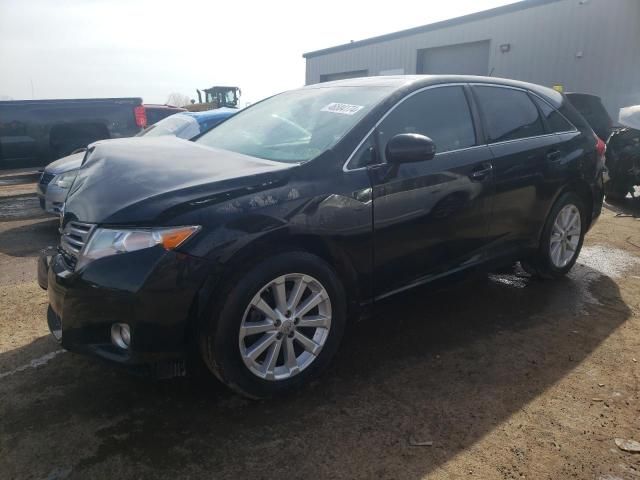 2010 Toyota Venza