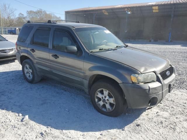 2006 Ford Escape XLT