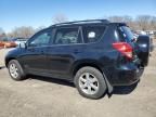 2008 Toyota Rav4 Limited