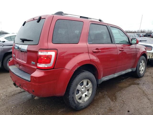 2010 Ford Escape Limited