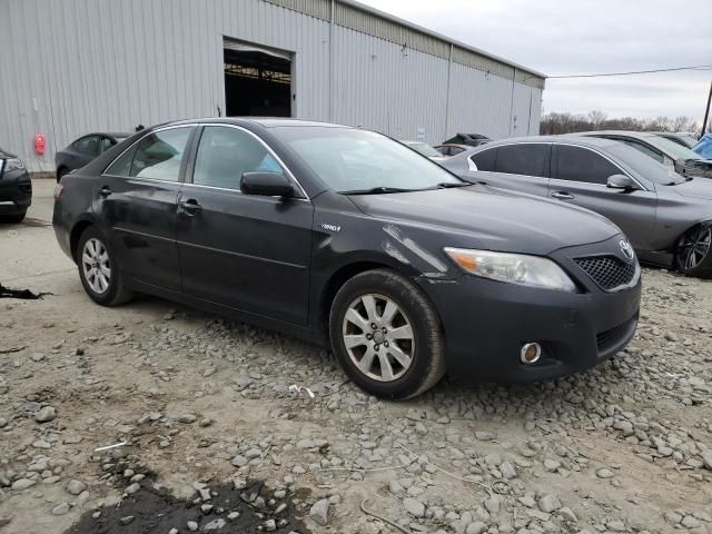 2010 Toyota Camry Hybrid