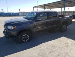 Salvage cars for sale from Copart Anthony, TX: 2019 Toyota Tacoma Double Cab
