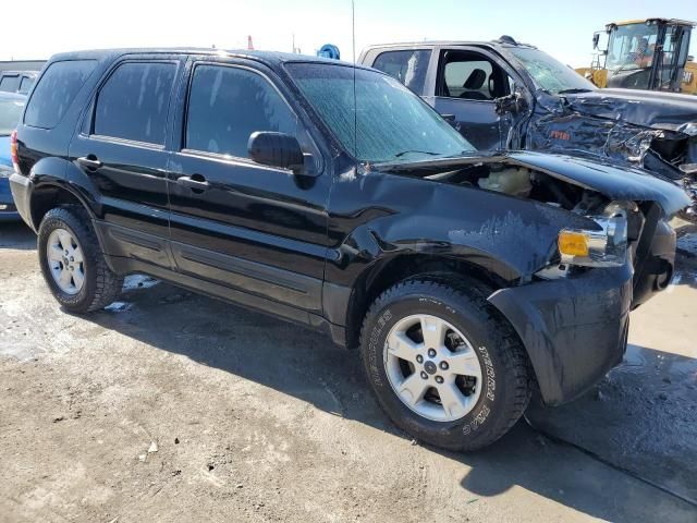 2005 Ford Escape XLT