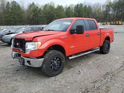 Vehiculos salvage en venta de Copart Gainesville, GA: 2013 Ford F150 Supercrew