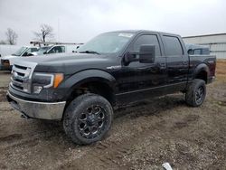 Salvage cars for sale from Copart Davison, MI: 2009 Ford F150 Supercrew