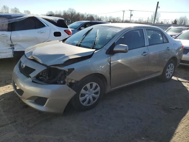 2010 Toyota Corolla Base