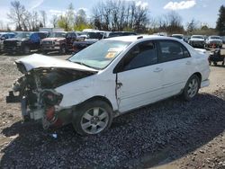 Toyota Corolla salvage cars for sale: 2003 Toyota Corolla CE