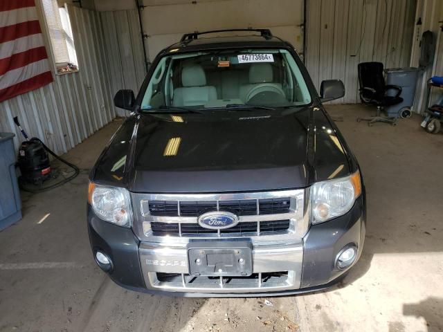 2009 Ford Escape Hybrid