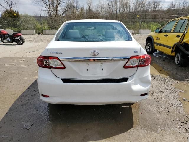 2011 Toyota Corolla Base