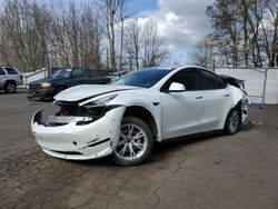 Salvage cars for sale from Copart Portland, OR: 2021 Tesla Model Y