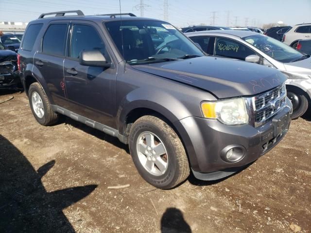 2011 Ford Escape XLT