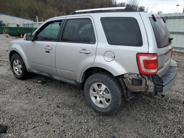 2010 Ford Escape Limited