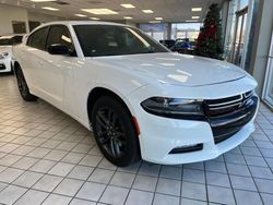 Dodge Charger salvage cars for sale: 2019 Dodge Charger SXT