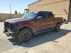 Salvage cars for sale at Gaston, SC auction: 2010 Ford F150 Supercrew