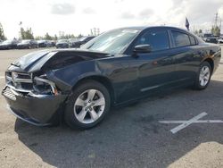 2013 Dodge Charger SE for sale in Rancho Cucamonga, CA