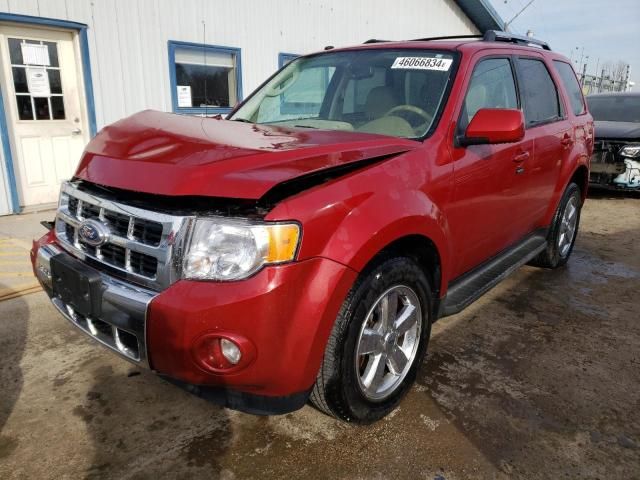 2011 Ford Escape Limited