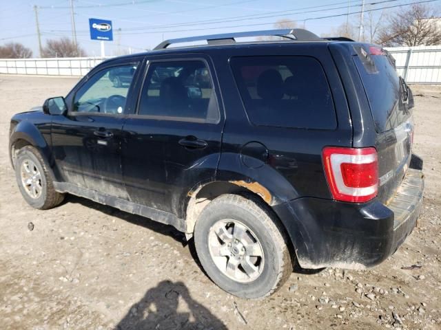 2010 Ford Escape Limited