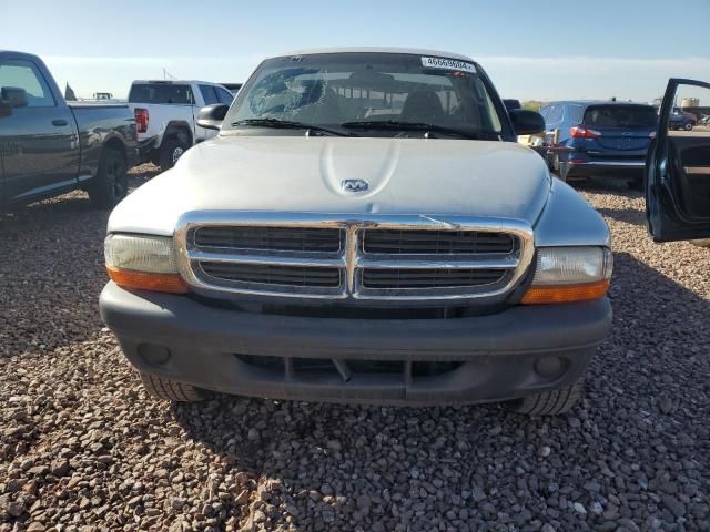 2004 Dodge Dakota SXT