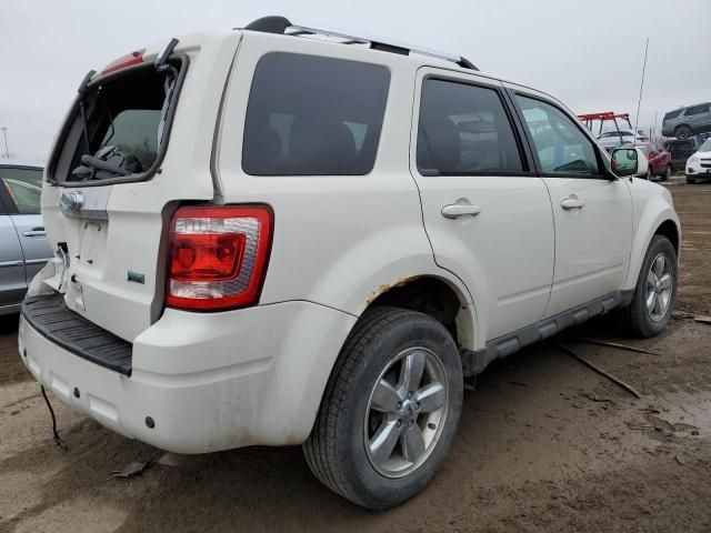 2011 Ford Escape Limited