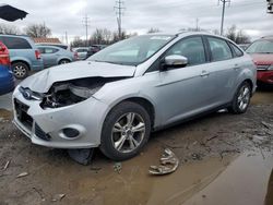 Ford salvage cars for sale: 2014 Ford Focus SE