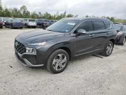 Salvage cars for sale at Houston, TX auction: 2023 Hyundai Santa FE SEL