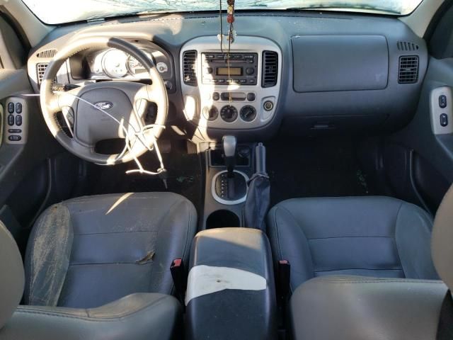 2005 Ford Escape XLT