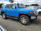 2007 Toyota FJ Cruiser