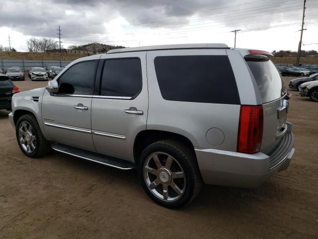 2010 Cadillac Escalade Luxury