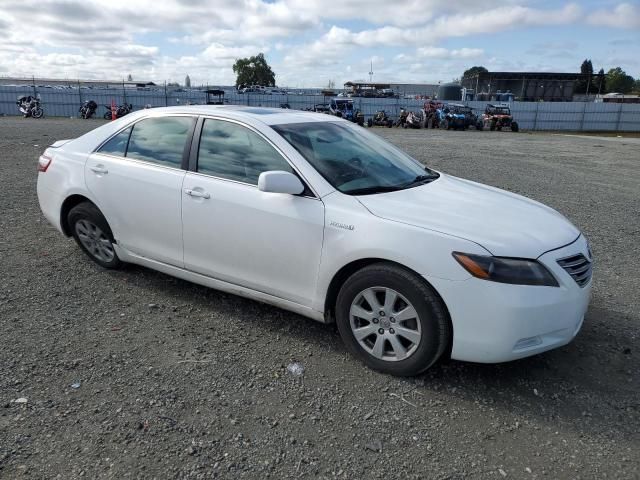 2009 Toyota Camry Hybrid