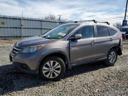 Salvage cars for sale from Copart Hillsborough, NJ: 2012 Honda CR-V EXL