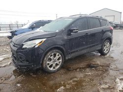 Ford Escape Titanium salvage cars for sale: 2016 Ford Escape Titanium