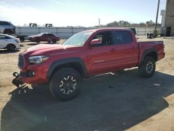 Salvage cars for sale at Fredericksburg, VA auction: 2023 Toyota Tacoma Double Cab
