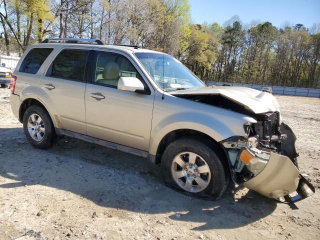 2010 Ford Escape Limited