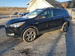 Salvage cars for sale from Copart Northfield, OH: 2013 Ford Escape SEL